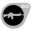 Silver SG 553